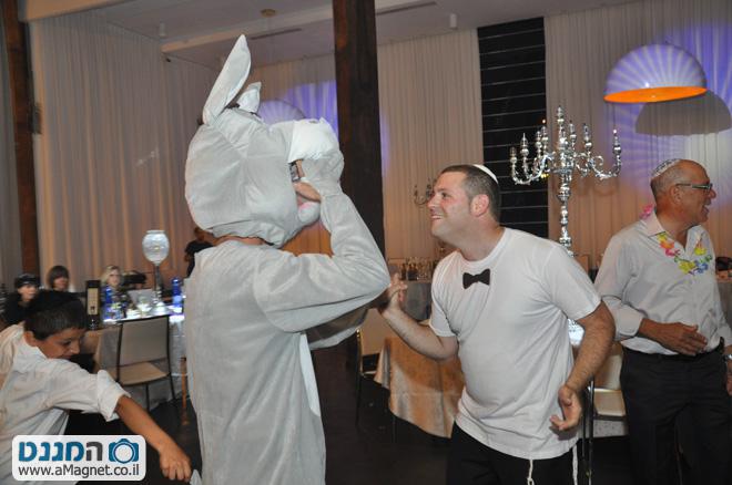 תמונה גדולה